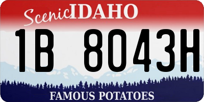 ID license plate 1B8043H