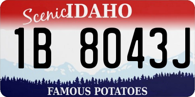 ID license plate 1B8043J