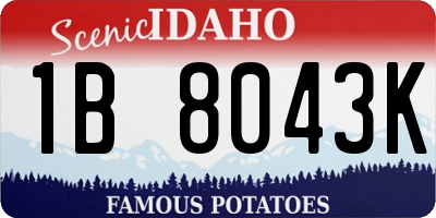 ID license plate 1B8043K
