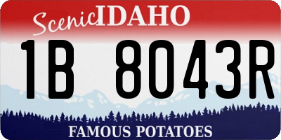 ID license plate 1B8043R