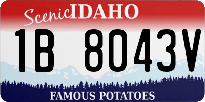 ID license plate 1B8043V