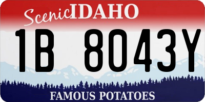 ID license plate 1B8043Y