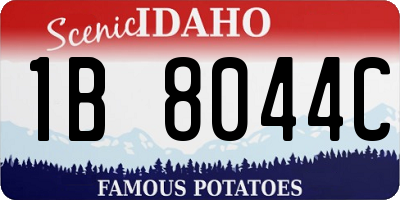 ID license plate 1B8044C