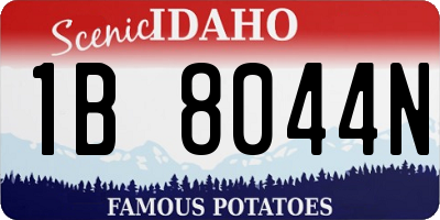 ID license plate 1B8044N