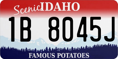 ID license plate 1B8045J