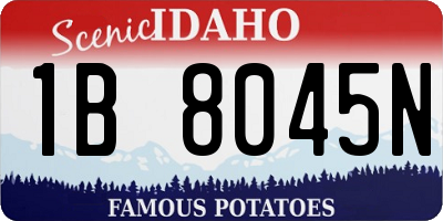 ID license plate 1B8045N