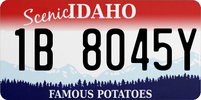 ID license plate 1B8045Y