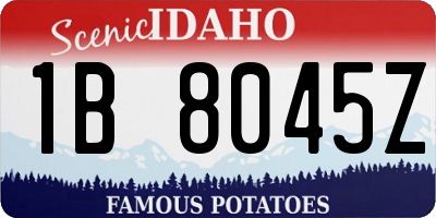 ID license plate 1B8045Z