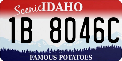 ID license plate 1B8046C