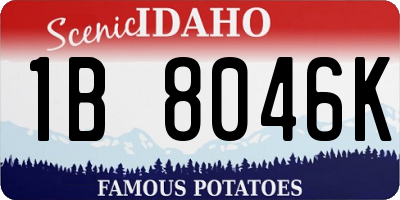 ID license plate 1B8046K
