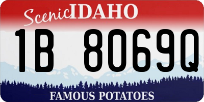 ID license plate 1B8069Q
