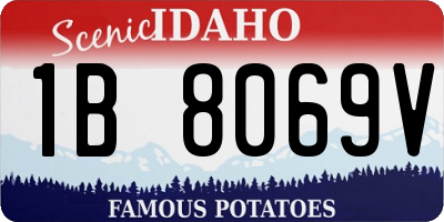 ID license plate 1B8069V