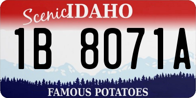 ID license plate 1B8071A