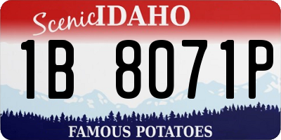 ID license plate 1B8071P