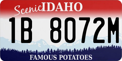 ID license plate 1B8072M