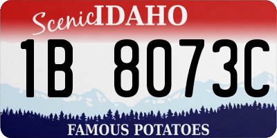ID license plate 1B8073C