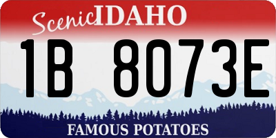 ID license plate 1B8073E