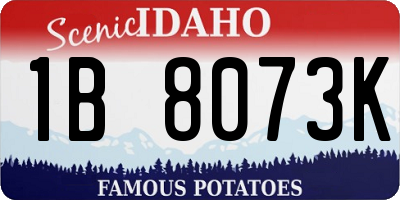 ID license plate 1B8073K