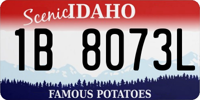 ID license plate 1B8073L