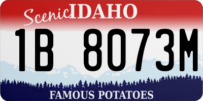 ID license plate 1B8073M