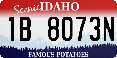 ID license plate 1B8073N