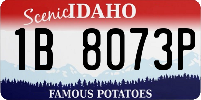ID license plate 1B8073P
