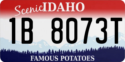 ID license plate 1B8073T
