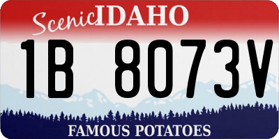 ID license plate 1B8073V