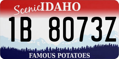 ID license plate 1B8073Z