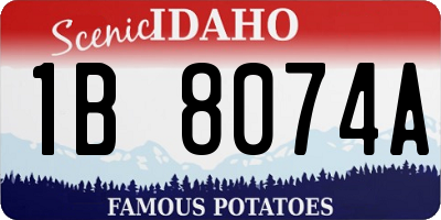 ID license plate 1B8074A