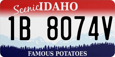 ID license plate 1B8074V