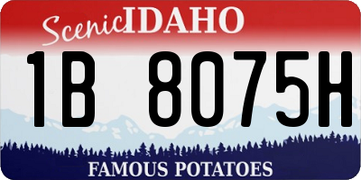 ID license plate 1B8075H