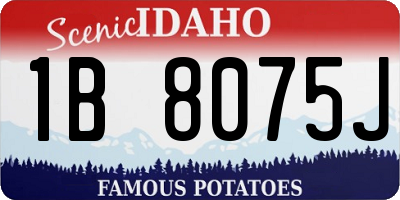 ID license plate 1B8075J