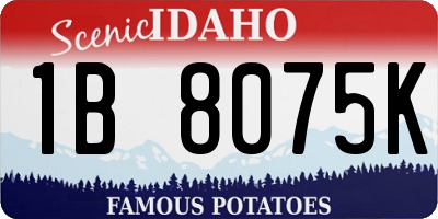 ID license plate 1B8075K
