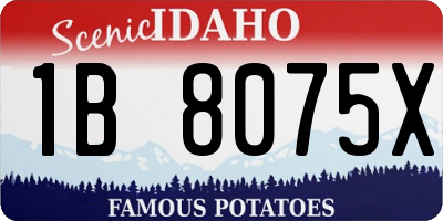 ID license plate 1B8075X
