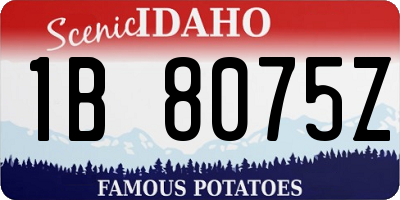 ID license plate 1B8075Z