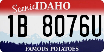 ID license plate 1B8076U