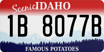 ID license plate 1B8077B