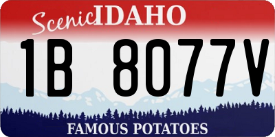 ID license plate 1B8077V