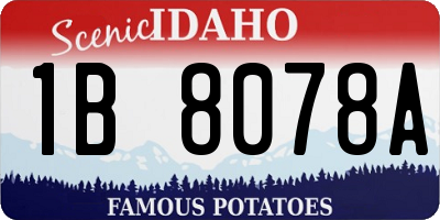 ID license plate 1B8078A