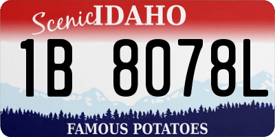 ID license plate 1B8078L