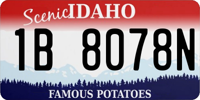 ID license plate 1B8078N