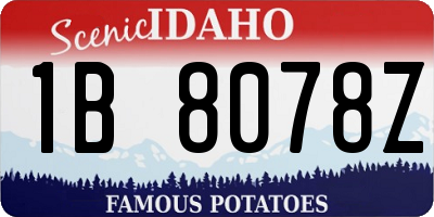 ID license plate 1B8078Z