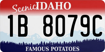 ID license plate 1B8079C