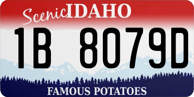 ID license plate 1B8079D