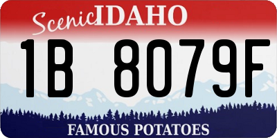 ID license plate 1B8079F