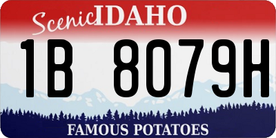 ID license plate 1B8079H