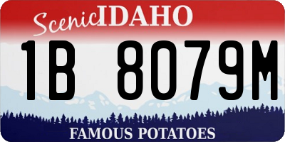 ID license plate 1B8079M
