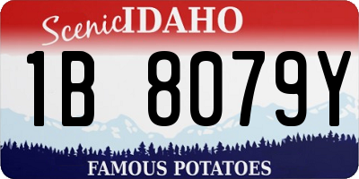 ID license plate 1B8079Y
