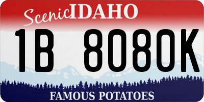 ID license plate 1B8080K